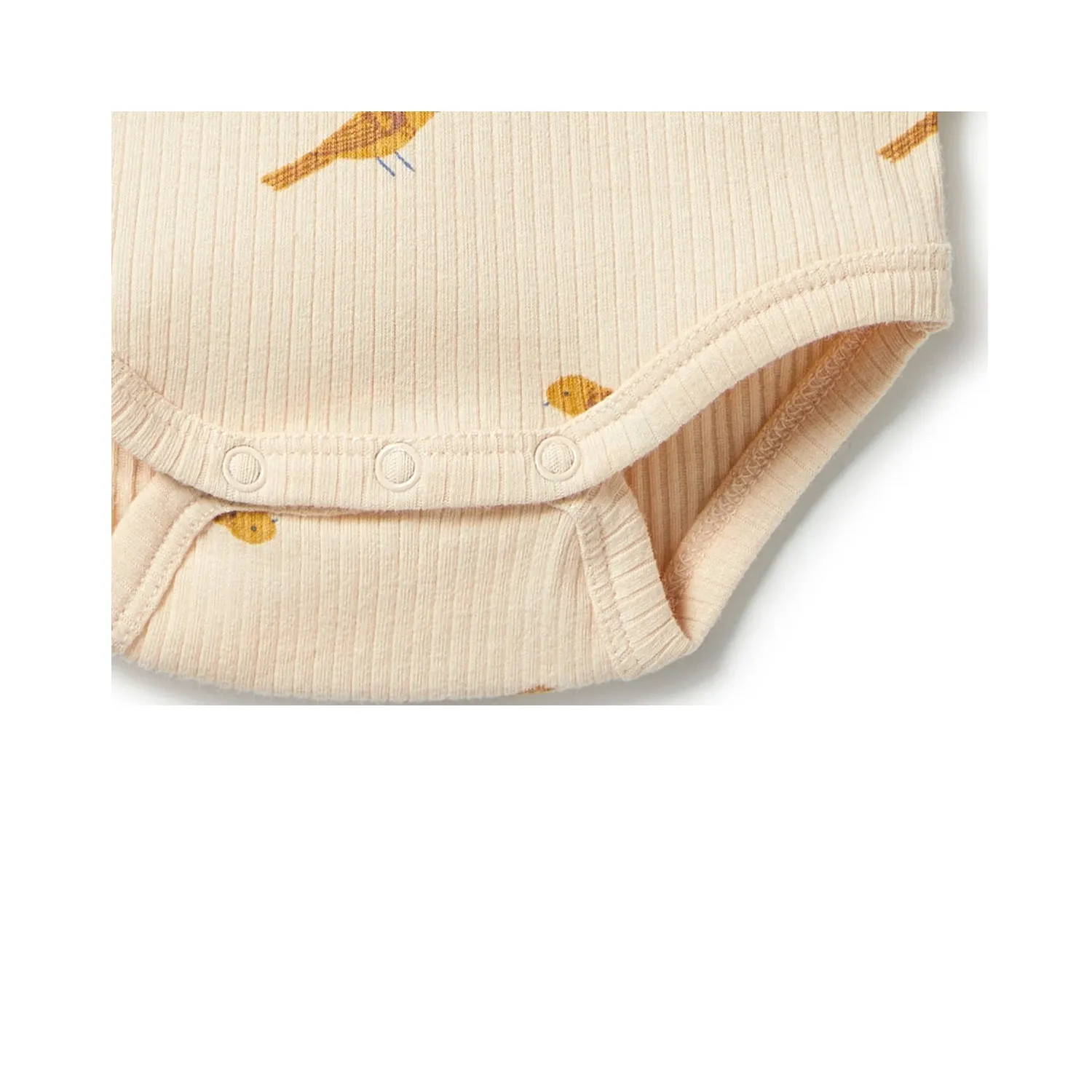 Bodysuit Envelope Organic Rib - Tweet Tweet